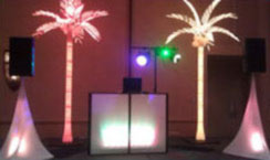 Light_up_booth_with_palm_trees